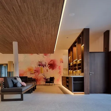 Vitalhotel 4* バート・ビルンバッハ