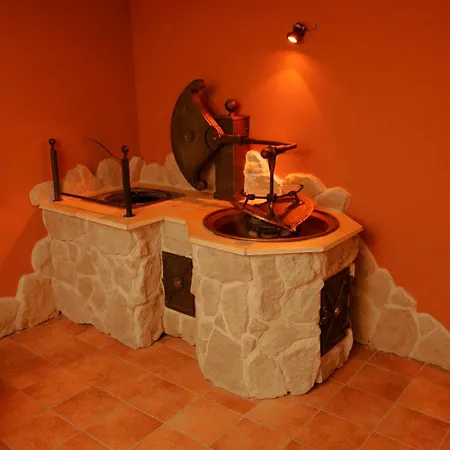 Vitalhotel 4* バート・ビルンバッハ